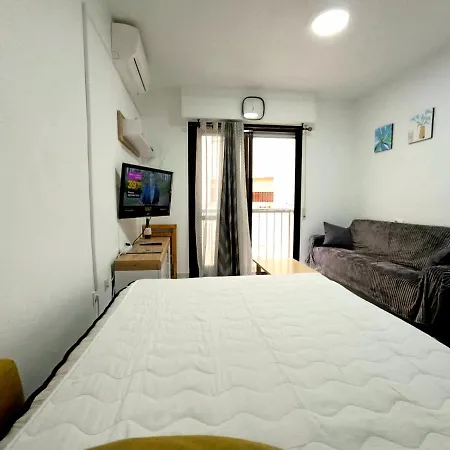 Estudio Gato Del Mar